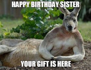 Happy Birthday Sister Funny