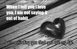 Funny quotes about love and relationships