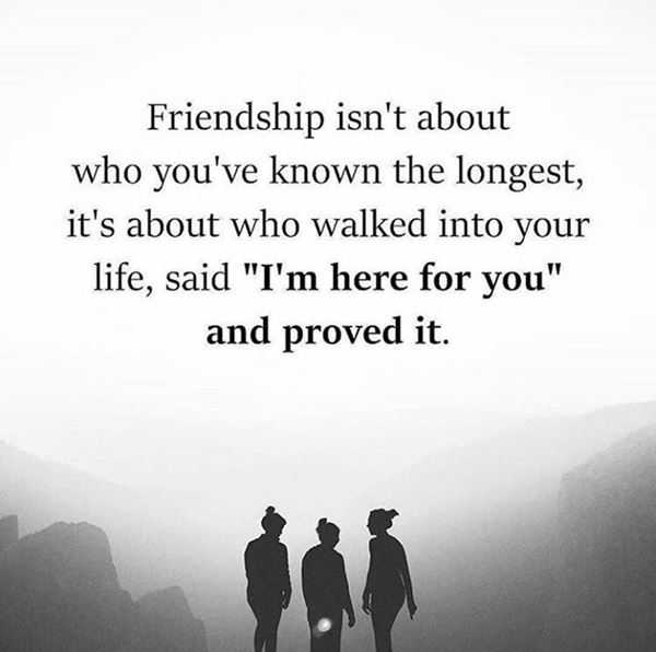 Short Friendship Quotes