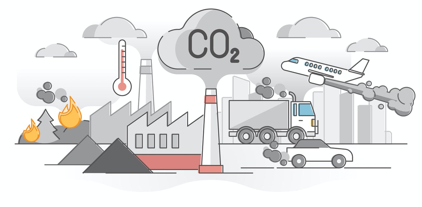 Tips on How to Become a Carbon Neutral Company