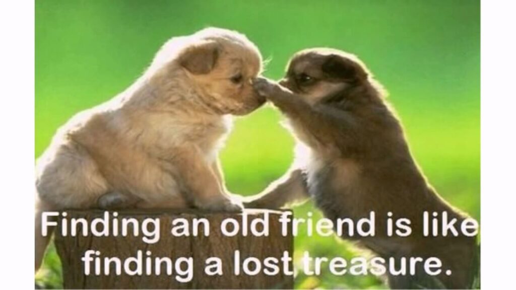 Quotf.com, friendship memories quotes