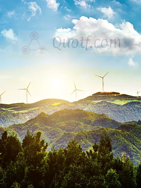 Reduce Your Carbon Footprint With Green Energy Electricity