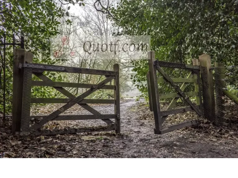How To Preserve The Life Of Wooden Gates