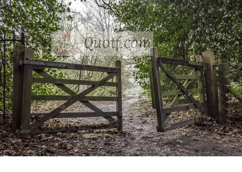 How To Preserve The Life Of Wooden Gates