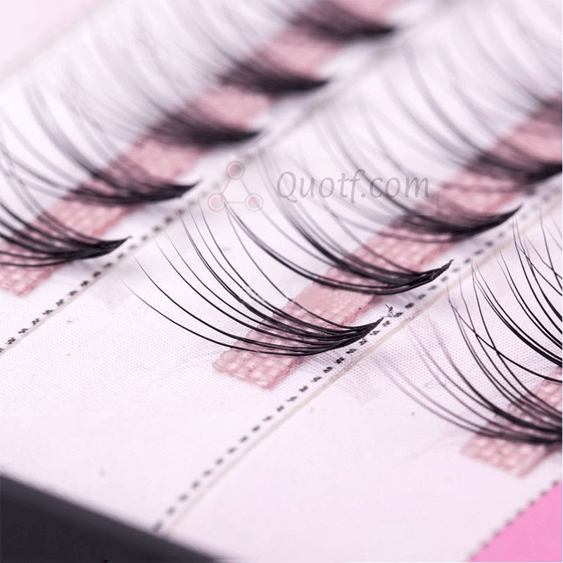 How much does cluster eyelash cost?