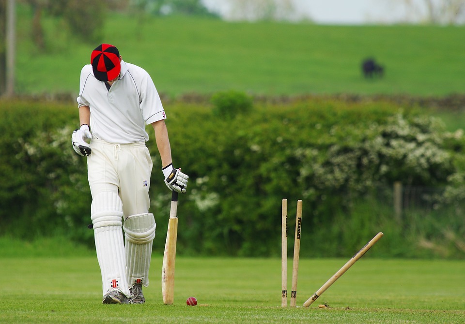Cricket, Popular Spectator Sport