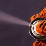 How To Get Rid Of Carpenter Bees with WD-40
