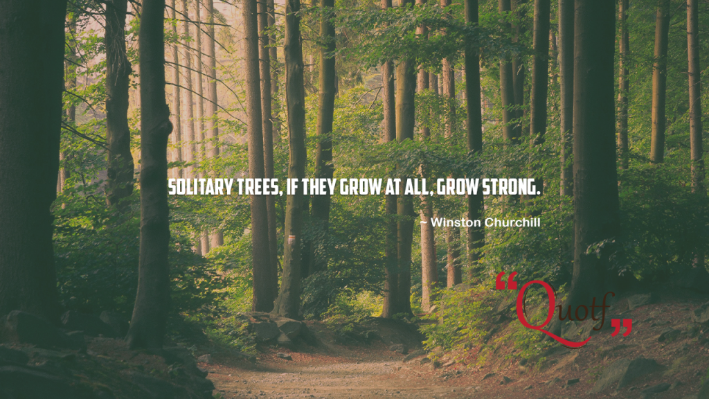 Inspirational words, quotf solitary trees if they grow at all grow strong