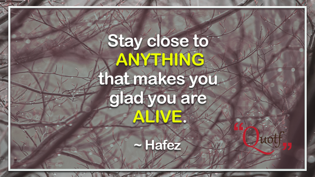 happiness often sneaks in through a door you didn't know you left open meaning