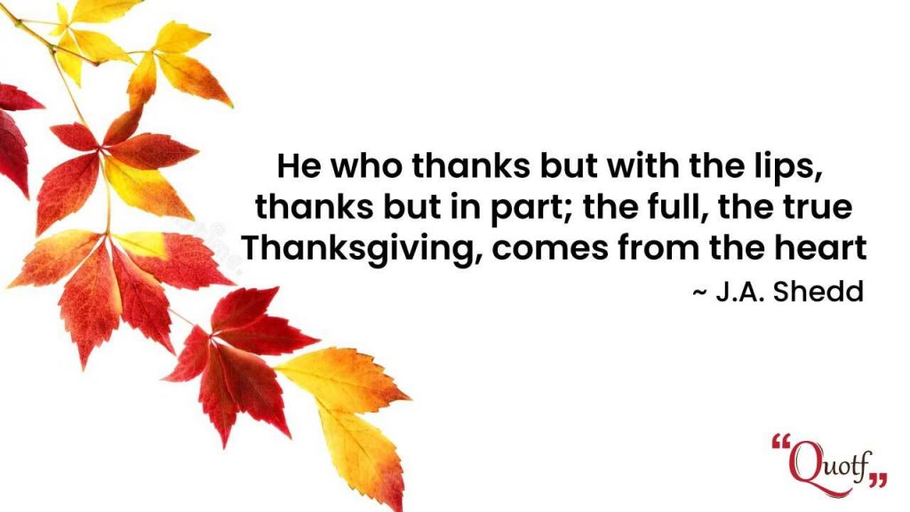 thankful happy thanksgiving