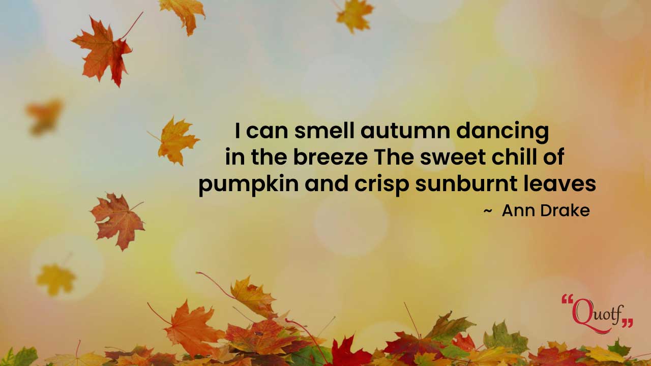 35+ Best Fall Quotes & Sayings About Autumn Season