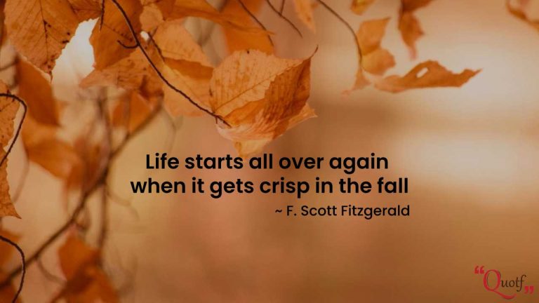 35+ Best Fall Quotes & Sayings About Autumn Season