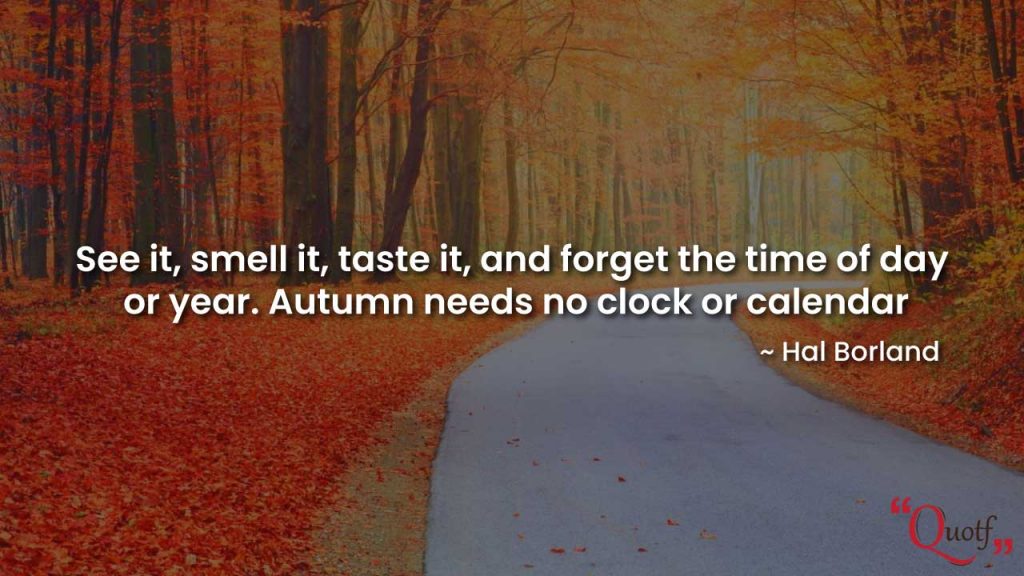 30+ Inspiring Fall Quotes - Best Quotes and Sayings About Autumn