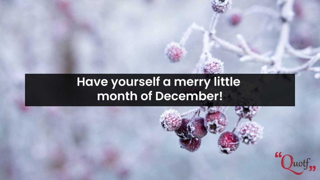 happy new month december wishes