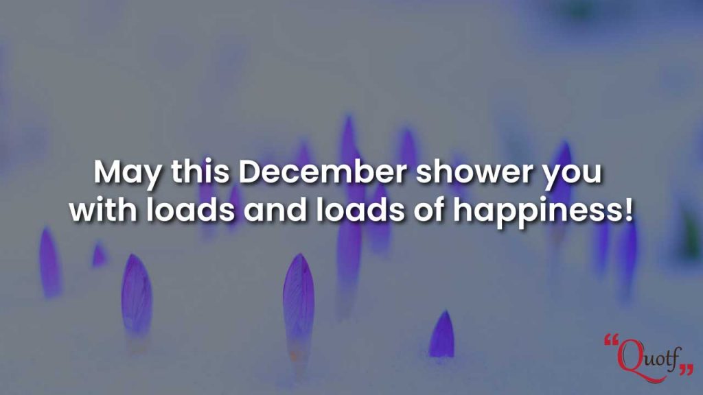 dear december quotes