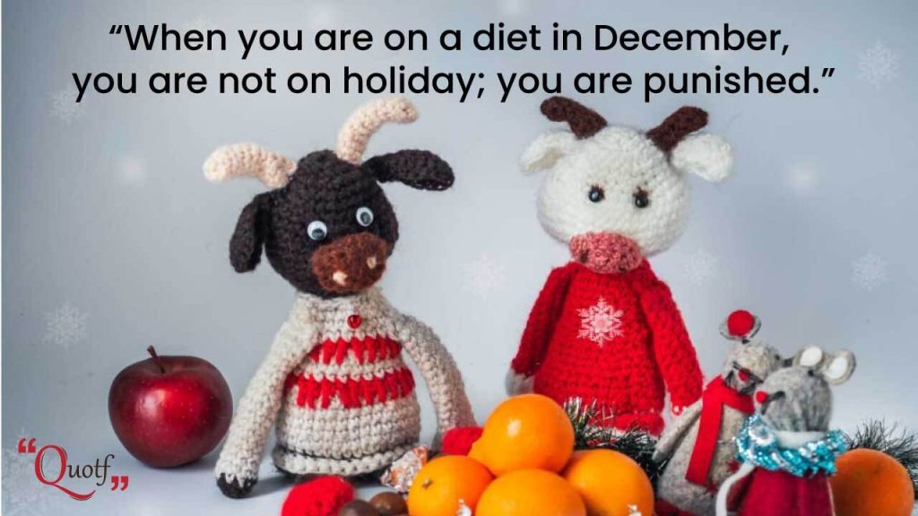 funny december quotes 