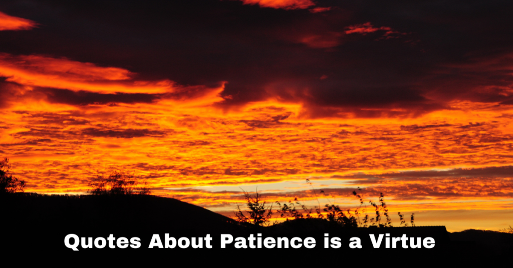 Quotes About Patience is a Virtue