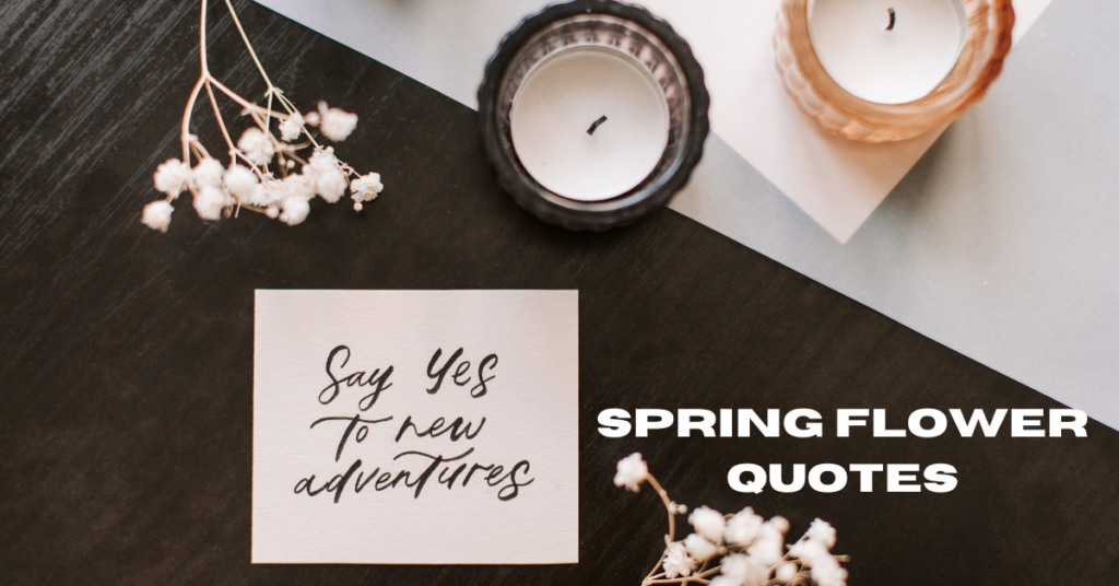 Spring Flower Quotes