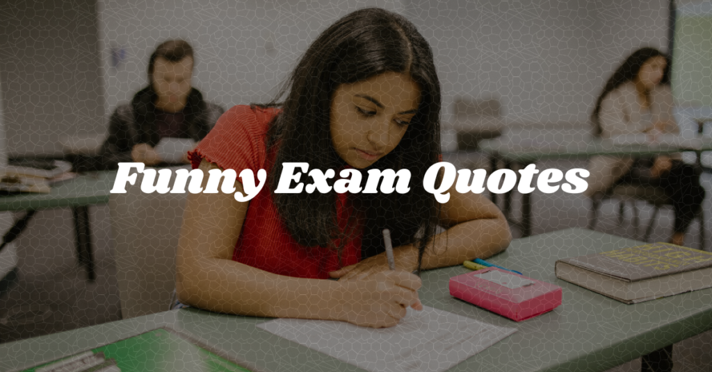 Funny Exam Quotes
