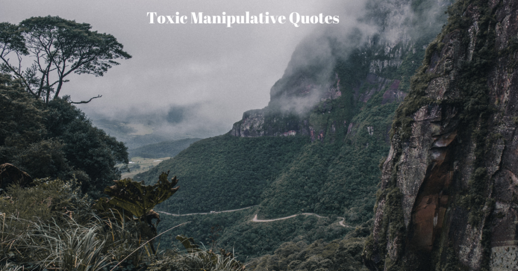 Toxic Manipulative Quotes