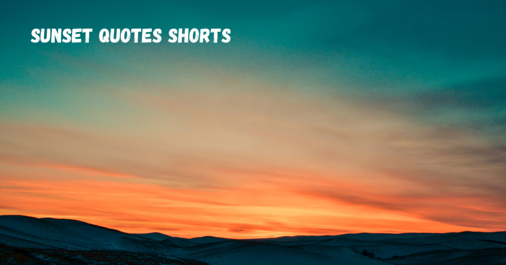 Sunset Quotes Shorts