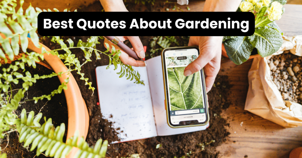 Best Quotes About Gardening