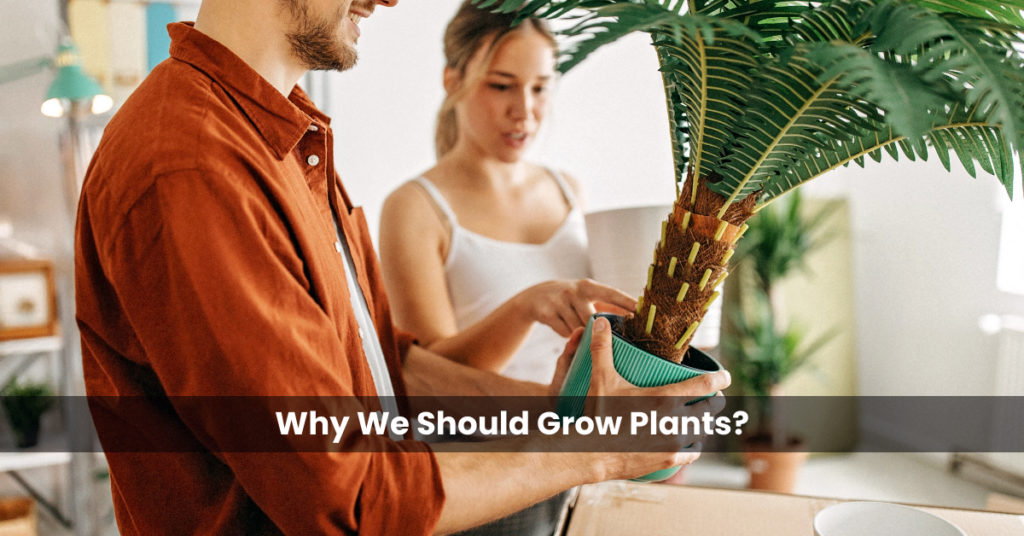 Why We Should Grow Plants?