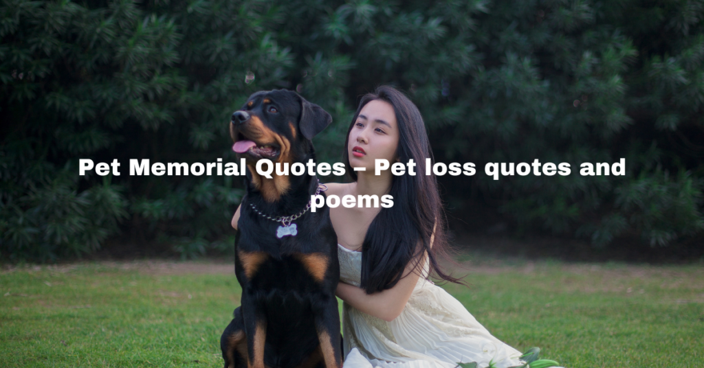 Pet Memorial Quotes 