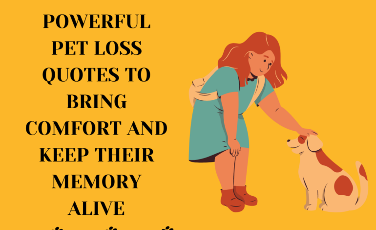 Powerful Pet Loss Quotes to Bring Comfort And Keep Their Memory Alive