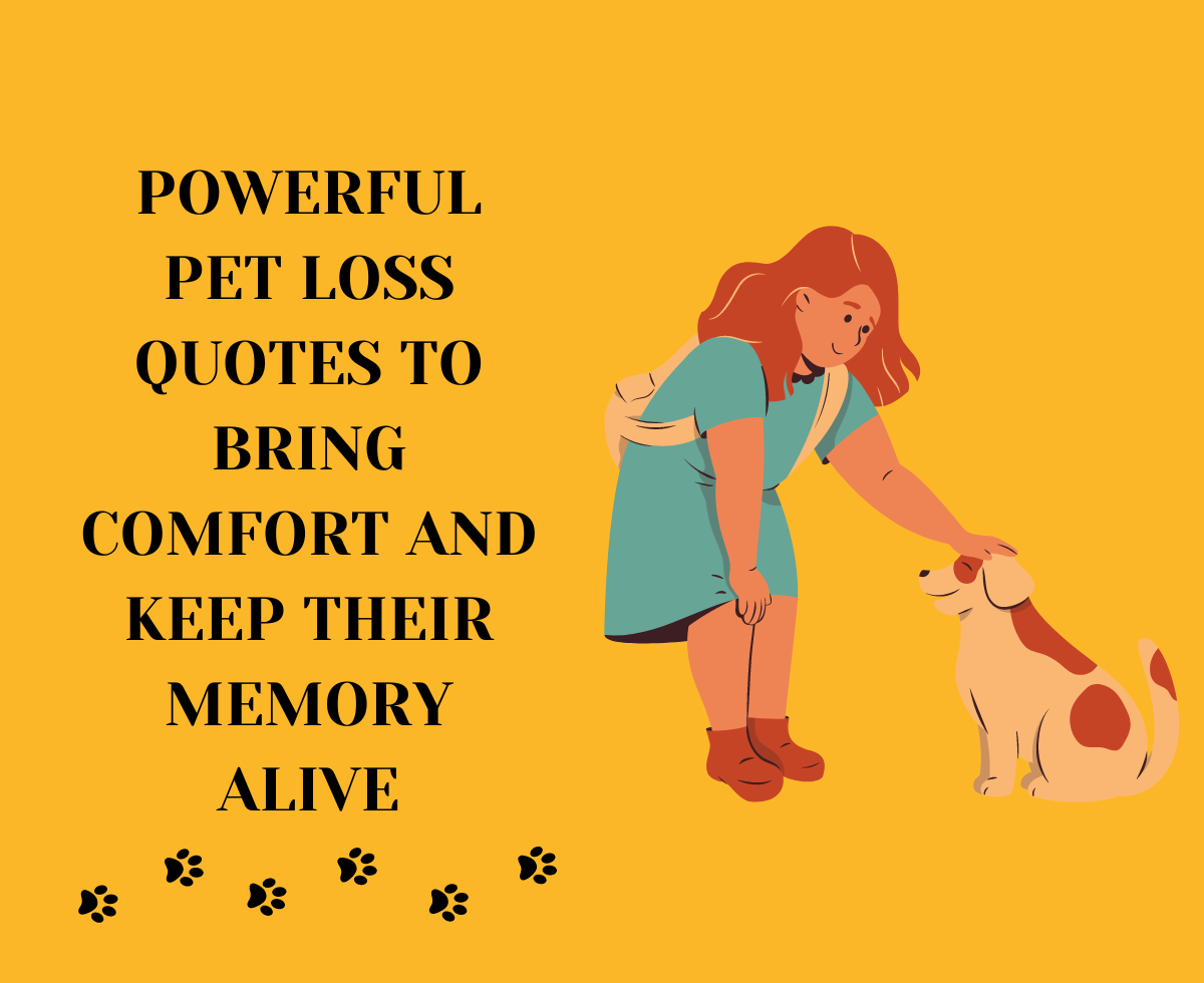 Powerful Pet Loss Quotes to Bring Comfort And Keep Their Memory Alive